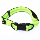 LED Light up Dog Pet Night Safety Bright Flashing Nylon Leash Harness Collar